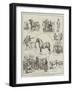 Sketches at the Shire Horse Show, in the Royal Agricultural Hall, Islington-S.t. Dadd-Framed Giclee Print