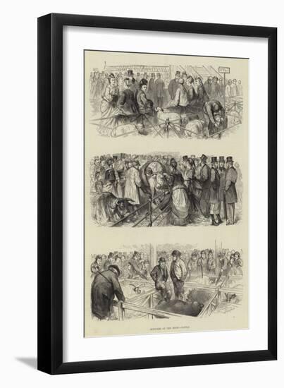 Sketches at the Show, Cattle-Godefroy Durand-Framed Giclee Print