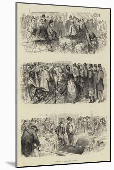 Sketches at the Show, Cattle-Godefroy Durand-Mounted Giclee Print