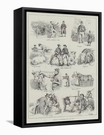 Sketches at the Smithfield Club Cattle Show-S.t. Dadd-Framed Stretched Canvas