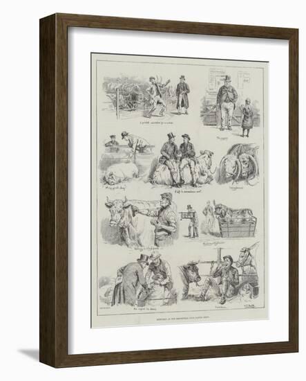 Sketches at the Smithfield Club Cattle Show-S.t. Dadd-Framed Giclee Print