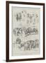 Sketches at the Smithfield Club Cattle Show-Henry Charles Seppings Wright-Framed Giclee Print