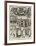 Sketches at the Smithfield Club Cattle Show-Alfred Courbould-Framed Giclee Print