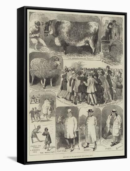 Sketches at the Smithfield Club Cattle Show-Alfred Courbould-Framed Stretched Canvas