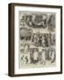 Sketches at the Smithfield Club Cattle Show-Alfred Courbould-Framed Giclee Print
