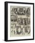 Sketches at the Smithfield Club Cattle Show-Alfred Courbould-Framed Giclee Print