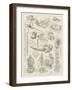 Sketches at the Stanley and African Exhibition-Frederick George Kitton-Framed Giclee Print