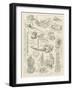 Sketches at the Stanley and African Exhibition-Frederick George Kitton-Framed Giclee Print