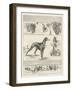 Sketches at the Waterloo Cup Meeting-null-Framed Giclee Print