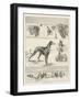 Sketches at the Waterloo Cup Meeting-null-Framed Giclee Print