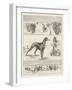 Sketches at the Waterloo Cup Meeting-null-Framed Giclee Print