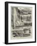 Sketches at the Yellowstone Park of North America-Alfred W. Cooper-Framed Giclee Print