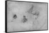'Sketches for a Kneeling Leda and of a Horse', c1480 (1945)-Leonardo Da Vinci-Framed Stretched Canvas