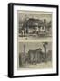 Sketches from Australia in Relation to the Tichborne Case-William Henry James Boot-Framed Giclee Print