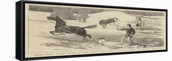 Sketches from British Columbia, Breaking Young Horses to Sledge Harness-Alfred Chantrey Corbould-Framed Stretched Canvas