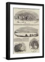 Sketches from Captain Austin's Arctic Expedition-null-Framed Giclee Print