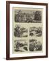 Sketches from India, Hog-Hunting in the Bombay Presidency-William Ralston-Framed Giclee Print