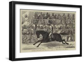 Sketches from India, the Preliminary Center at an Up-Country Race Meeting-null-Framed Giclee Print