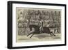 Sketches from India, the Preliminary Center at an Up-Country Race Meeting-null-Framed Giclee Print