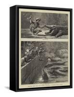 Sketches from India, the Sacred Alligators at Muggur Talao, Scinde-null-Framed Stretched Canvas