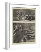Sketches from India, the Sacred Alligators at Muggur Talao, Scinde-null-Framed Giclee Print