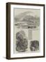 Sketches from Madagascar-null-Framed Giclee Print