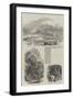 Sketches from Madagascar-null-Framed Giclee Print