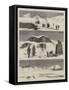 Sketches from Nature in the Arctic Regions-Joseph Nash-Framed Stretched Canvas