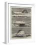 Sketches from Nature in the Arctic Regions-null-Framed Giclee Print