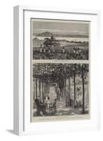 Sketches from the Congo River, West Coast of Africa-null-Framed Giclee Print