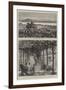 Sketches from the Congo River, West Coast of Africa-null-Framed Giclee Print