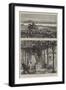 Sketches from the Congo River, West Coast of Africa-null-Framed Premium Giclee Print