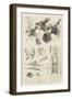 Sketches from the Sport and Art Exhibition at the Grosvenor Gallery-null-Framed Giclee Print