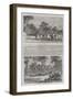 Sketches from the Victoria Gold Diggings-null-Framed Giclee Print