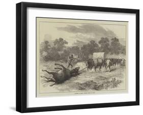 Sketches in Africa, Bringing Home the Eland-null-Framed Giclee Print