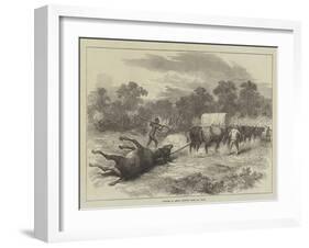 Sketches in Africa, Bringing Home the Eland-null-Framed Giclee Print