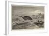 Sketches in Australia, Hunting the Emu-null-Framed Giclee Print