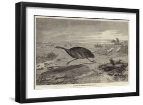 Sketches in Australia, Hunting the Emu-null-Framed Giclee Print