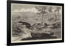 Sketches in Australia, Kangaroo Hunt-null-Framed Giclee Print