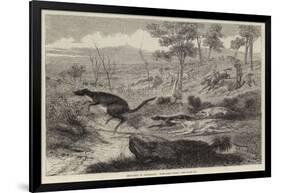 Sketches in Australia, Kangaroo Hunt-null-Framed Giclee Print