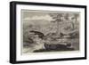 Sketches in Australia, Kangaroo Hunt-null-Framed Giclee Print