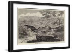 Sketches in Australia, Kangaroo Hunt-null-Framed Giclee Print