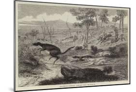 Sketches in Australia, Kangaroo Hunt-null-Mounted Giclee Print