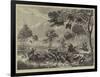 Sketches in Australia, Kangaroo Hunting-null-Framed Giclee Print