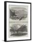 Sketches in British Columbia-null-Framed Giclee Print