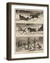 Sketches in British North America-null-Framed Giclee Print