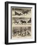 Sketches in British North America-null-Framed Giclee Print