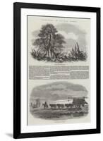 Sketches in Buenos Ayres-null-Framed Giclee Print