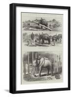 Sketches in Burmah-null-Framed Premium Giclee Print