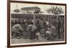 Sketches in China, on Board an Opium Hulk at Shanghai-Frank Dadd-Framed Giclee Print